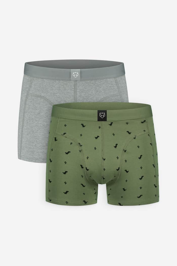 a dam underwear 2x Grey Dino