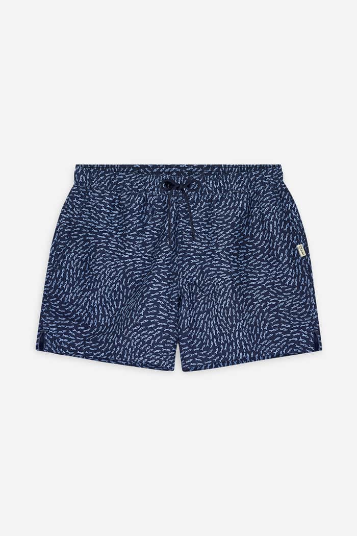 a dam underwear Blue School of Fish