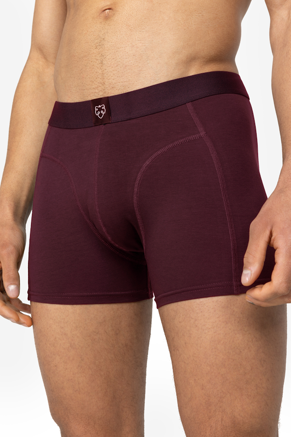 A Dam Underwear Bruno