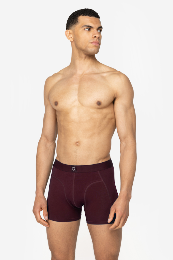 A Dam Underwear Bruno