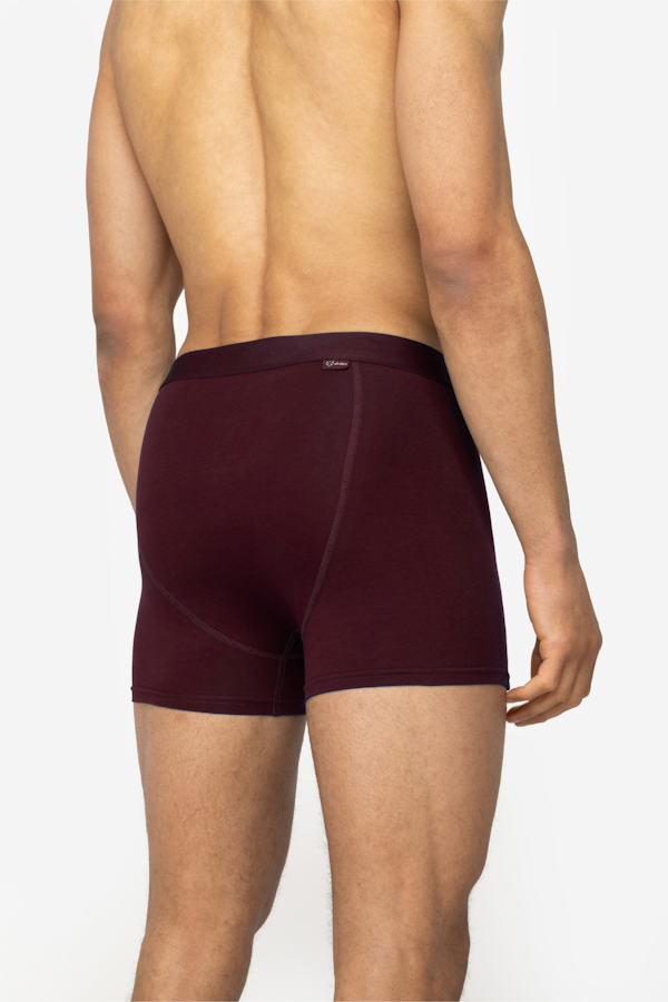 A Dam Underwear Bruno