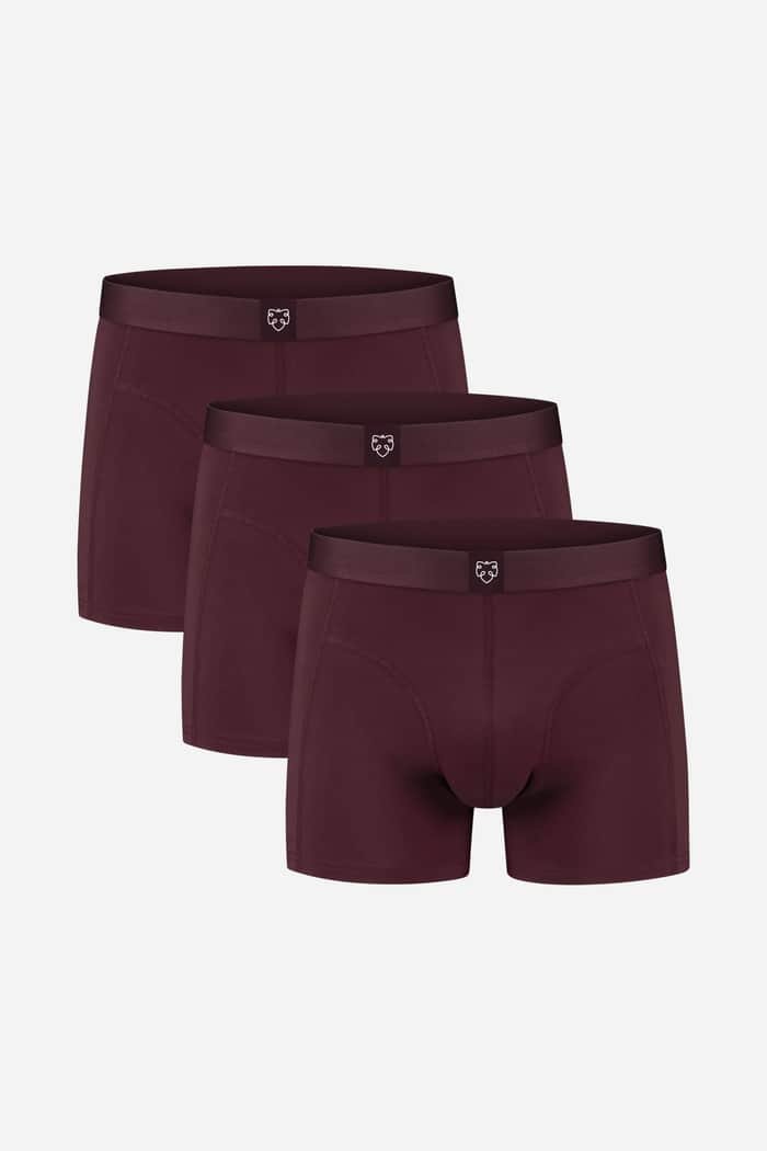 a dam underwear Bruno 3P