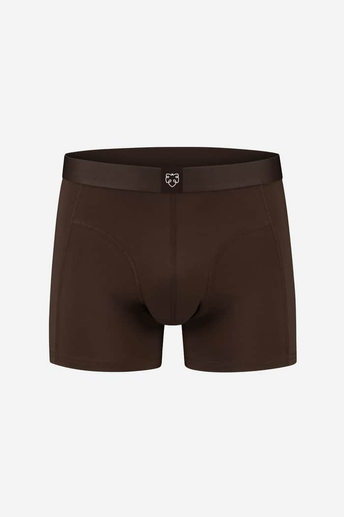 a dam underwear Chocolat