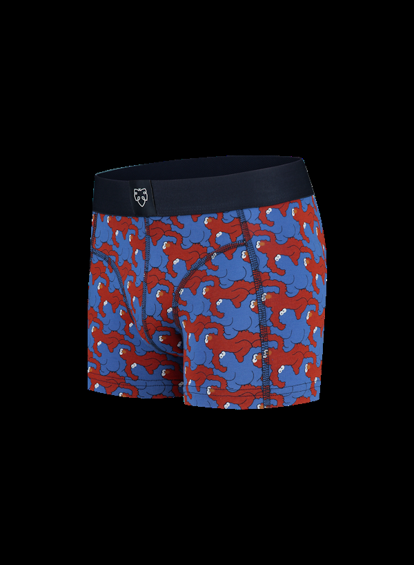 A Dam Underwear Cookie & Elmo