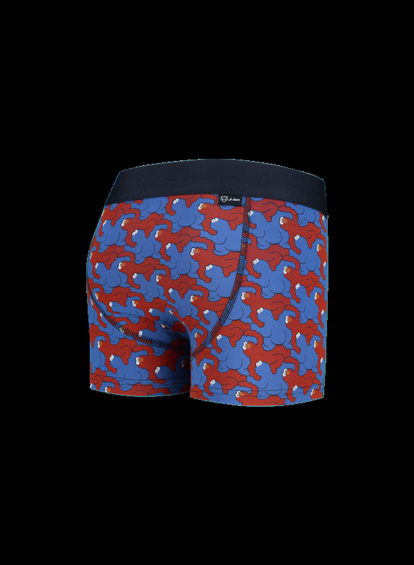 A Dam Underwear Cookie & Elmo