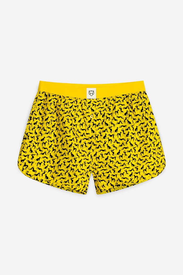 a dam underwear Dorian