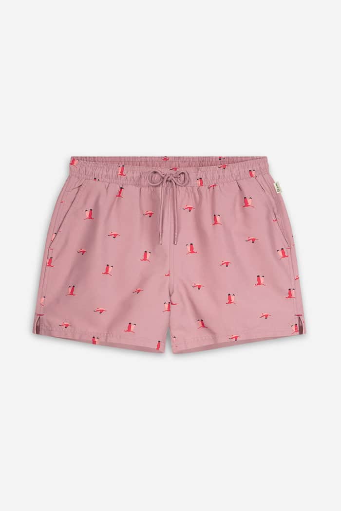 a dam underwear Flying Birds