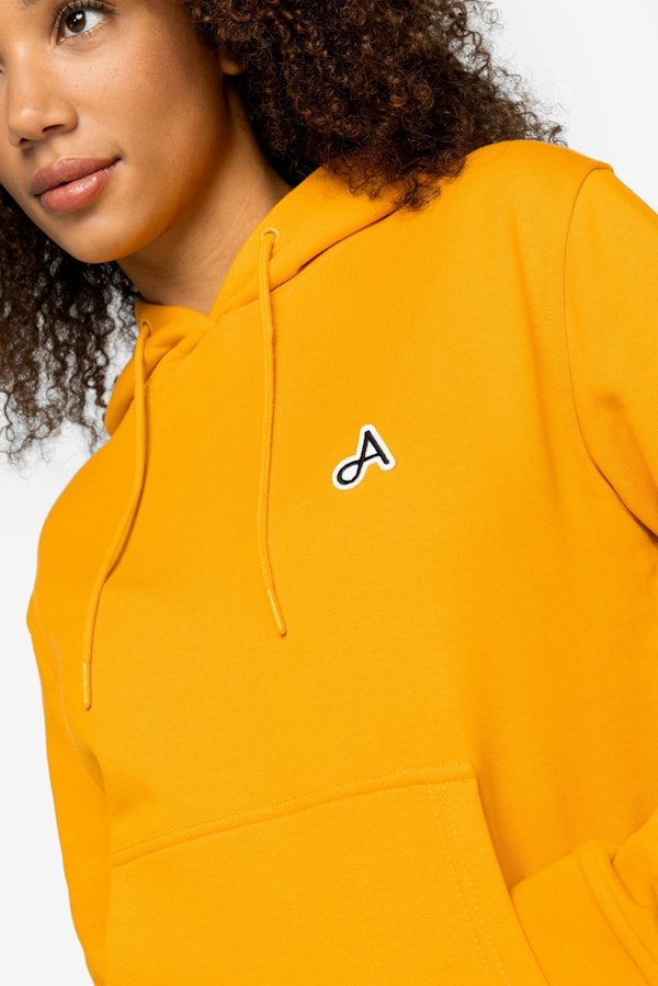 A Dam Underwear Google Dino