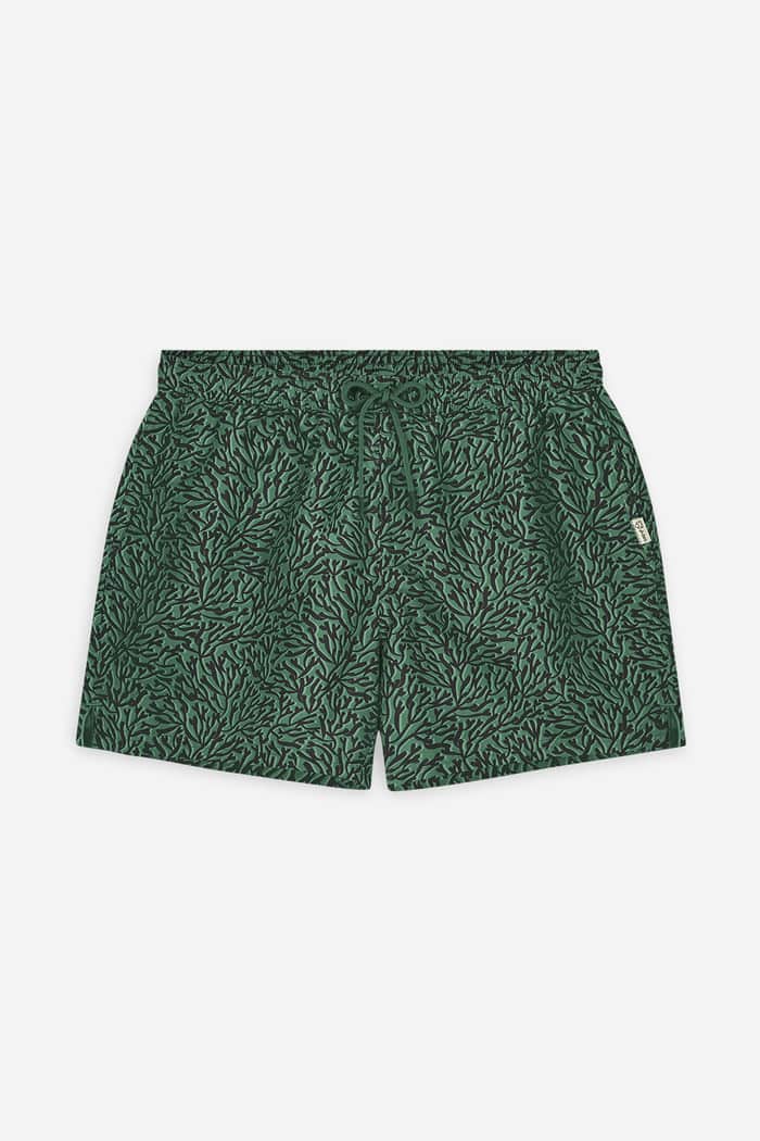 a dam underwear Green Seaweed