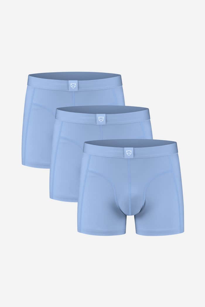 a dam underwear Light Blue 3P