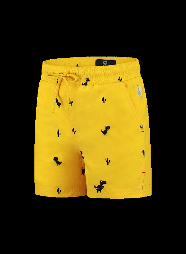 A Dam Underwear Little Dino