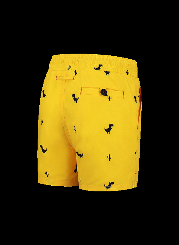 A Dam Underwear Little Dino