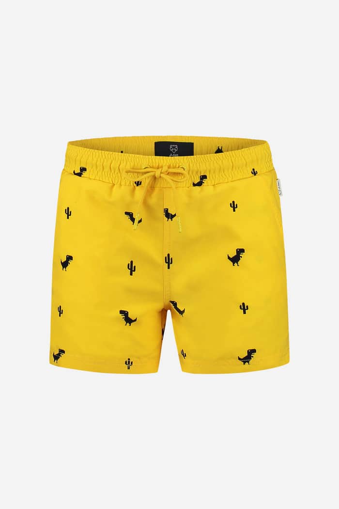 a dam underwear Little Dino