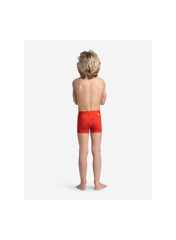 A Dam Underwear Ricardo