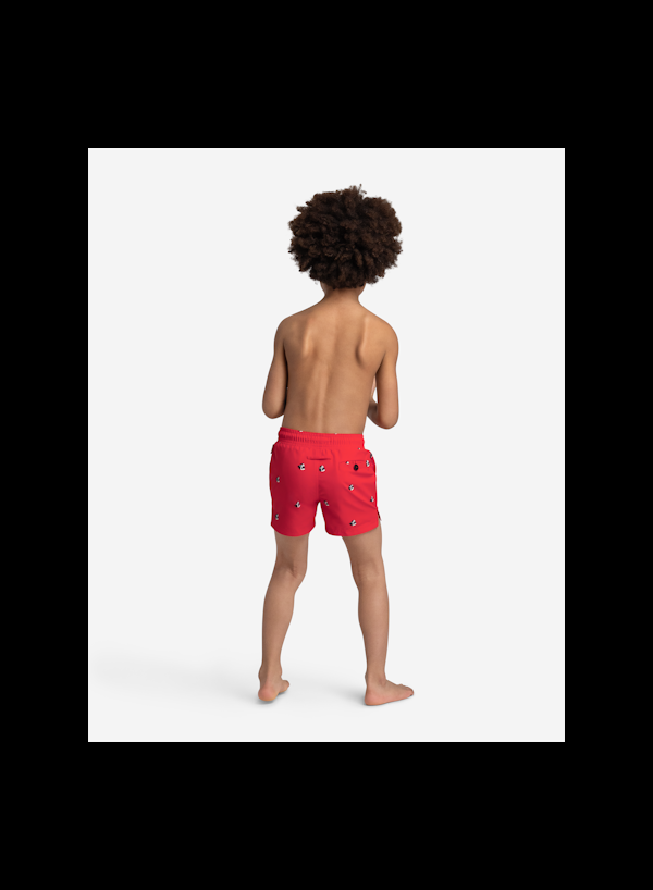 A Dam Underwear Roelof