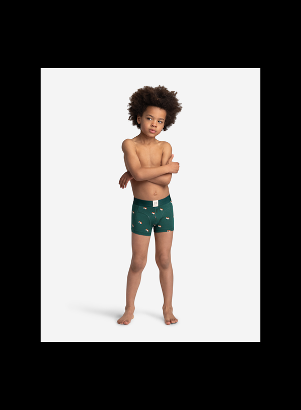 A Dam Underwear Seth