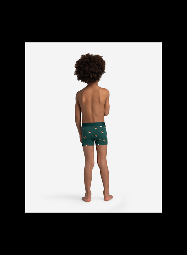 A Dam Underwear Seth