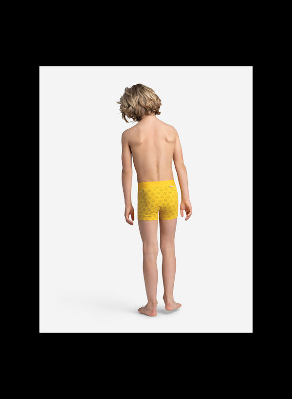 A Dam Underwear Tjin