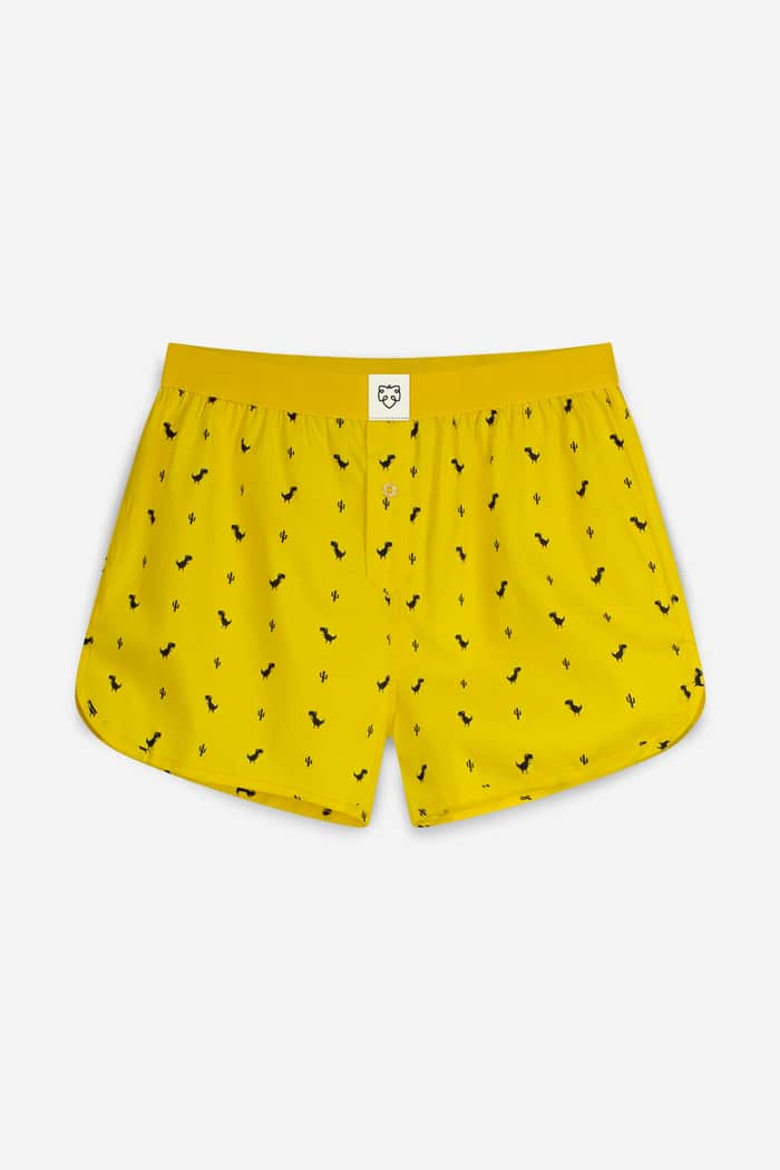 a dam underwear Yellow Dino