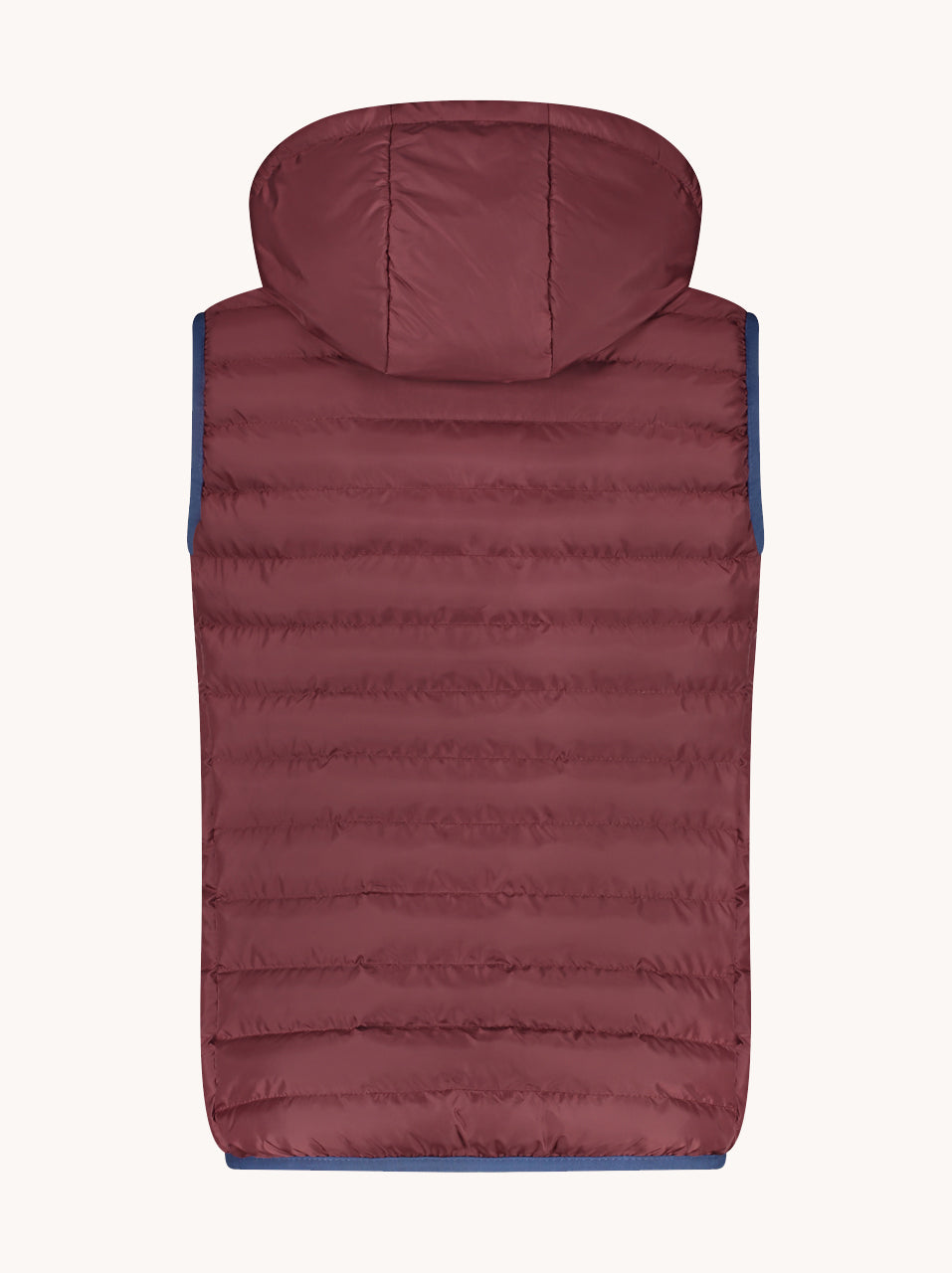 A Fish Named Fred Bodywarmer