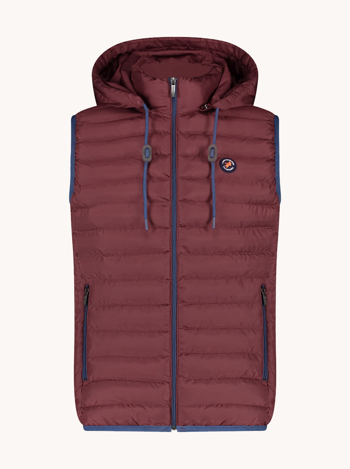 a fish named fred Bodywarmer