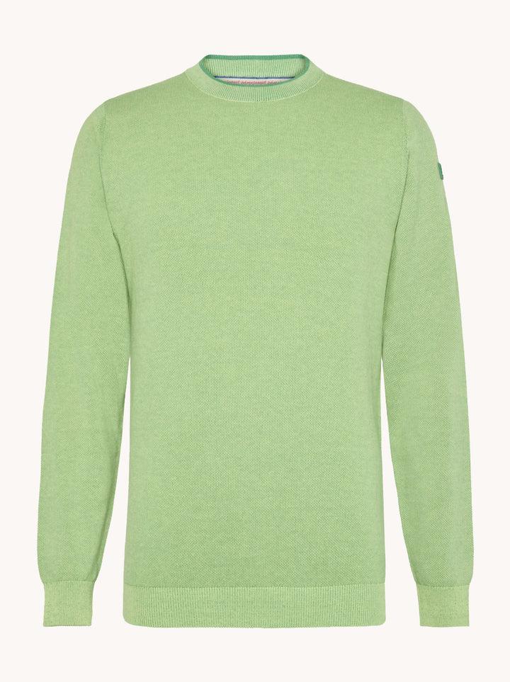 a fish named fred Classic pullover