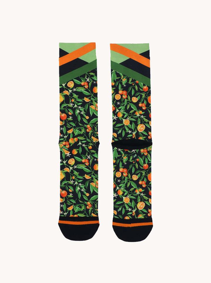 A Fish Named Fred Sokken Citrus (3pair)