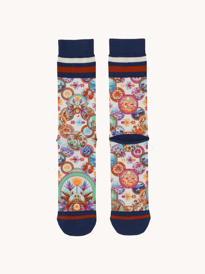 A Fish Named Fred Sokken Desert World (3pair)