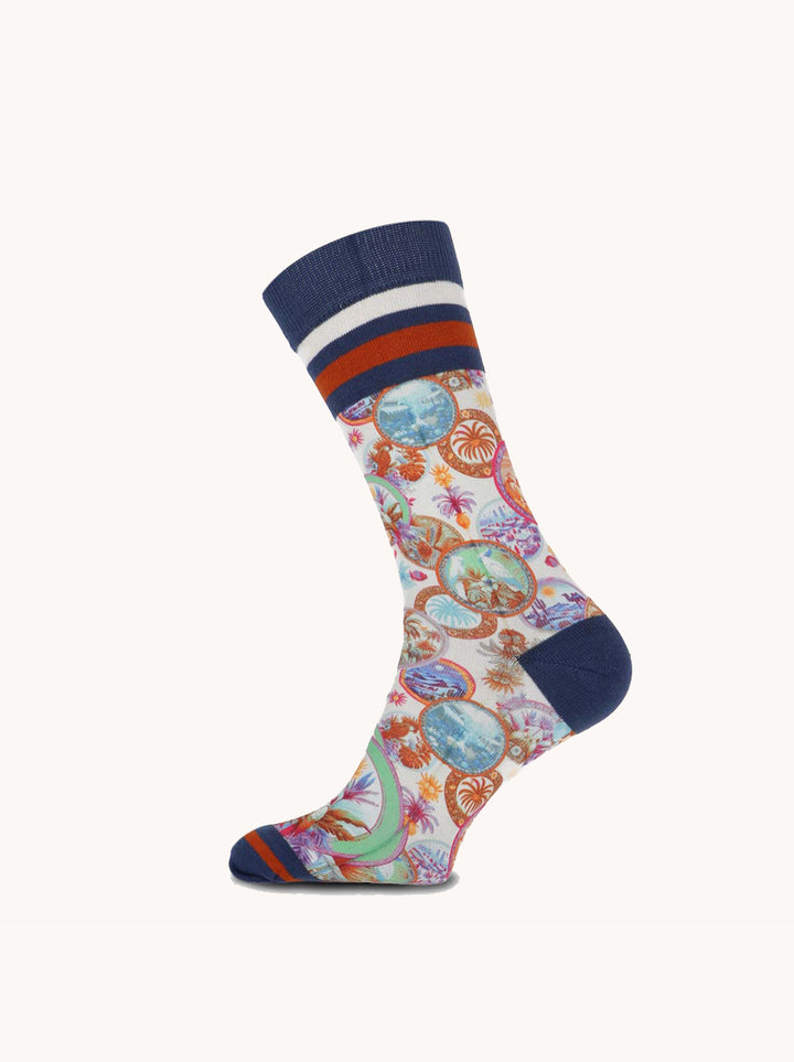 a fish named fred Sokken desert world (3pair)