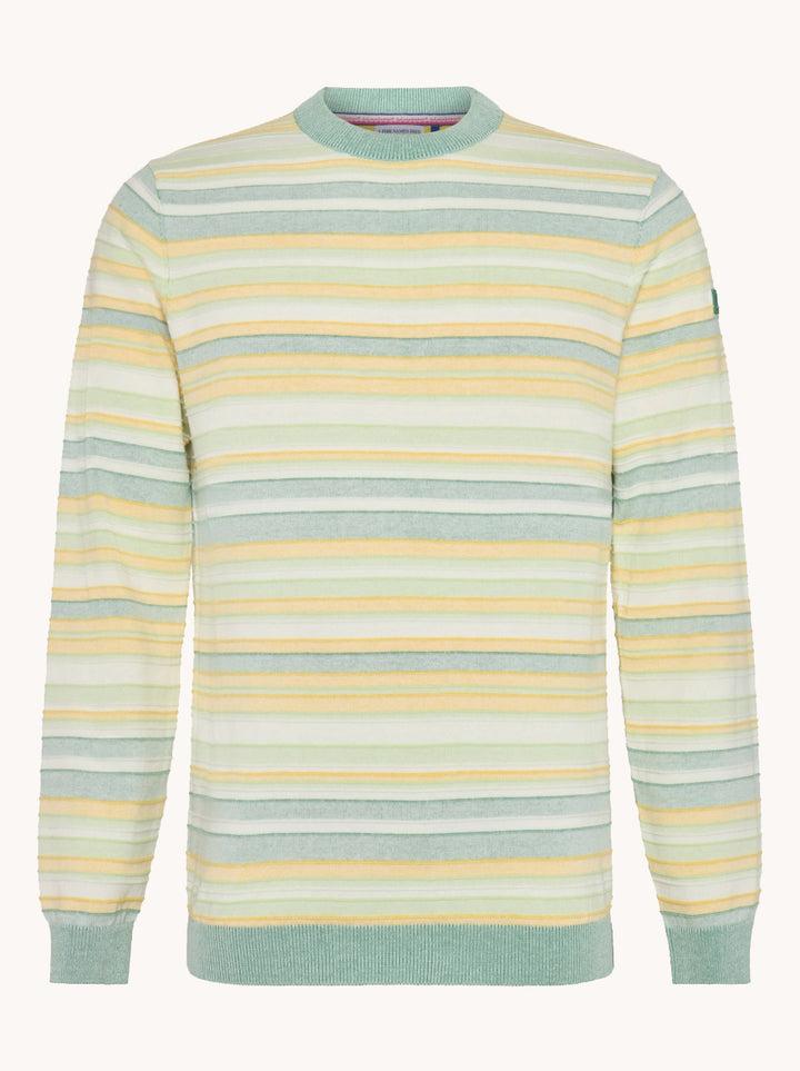 a fish named fred Striped pullover
