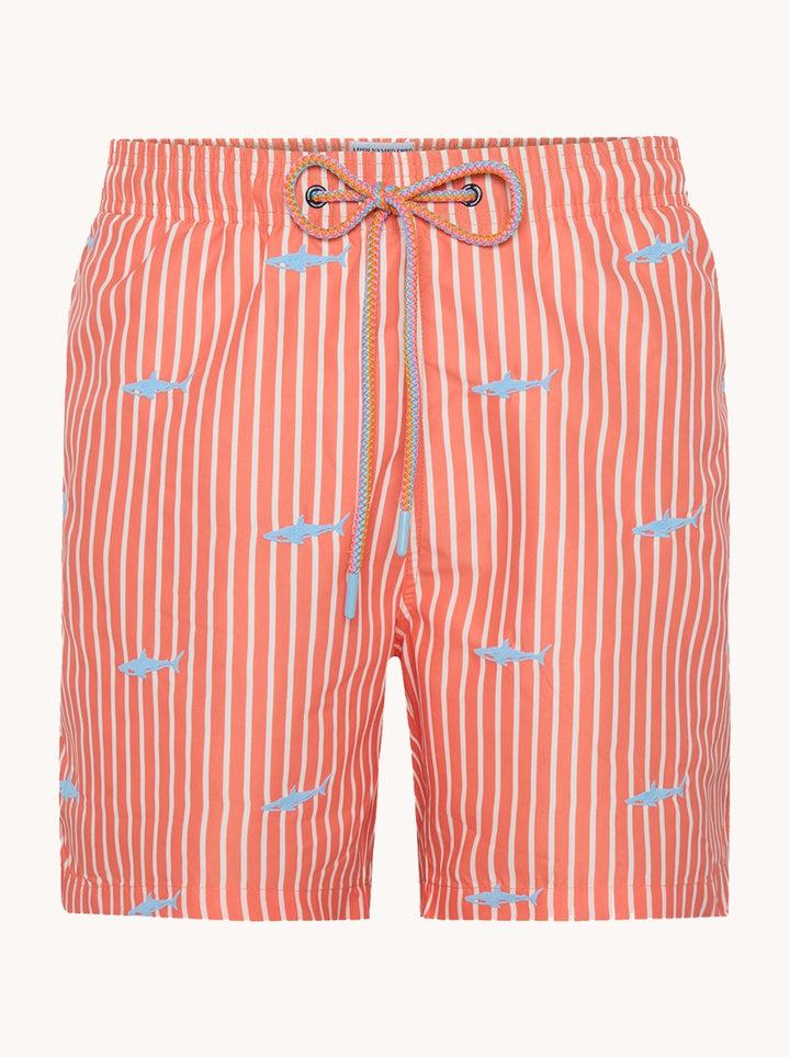 a fish named fred Swimshort shark