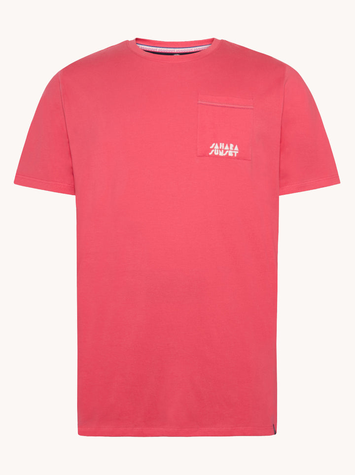 A Fish Named Fred T-shirt Pool