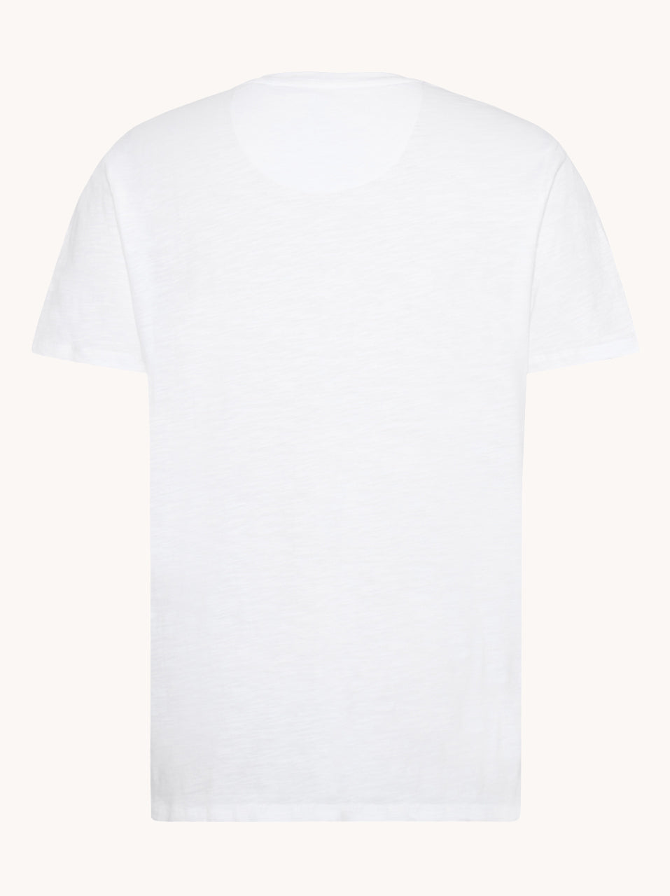 A Fish Named Fred T-shirt Vase