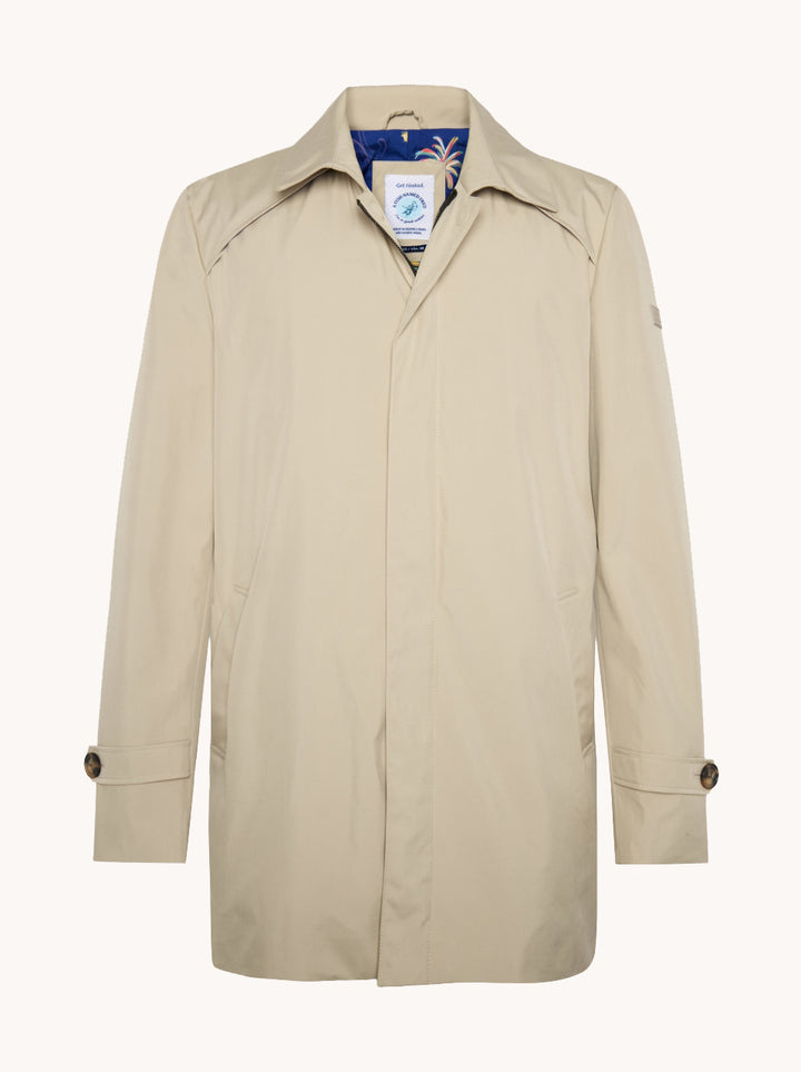 a fish named fred Trenchcoat