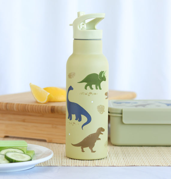 A Little Lovely Company XL RVS Drinkfles: Dinosaurussen