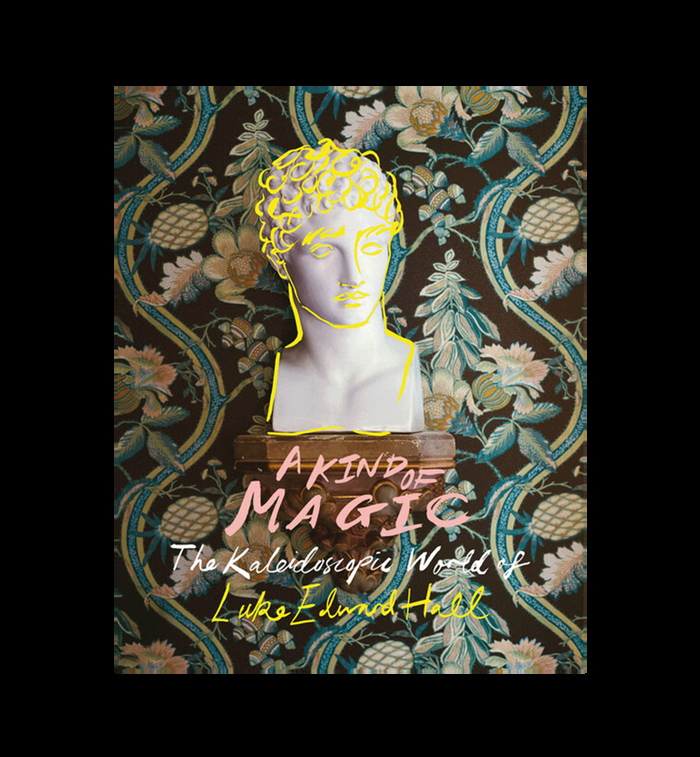 anna nina A Kind of Magic Book by Luke Edward Hall