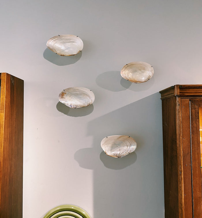 Anna Nina Bali Shell Wall Object