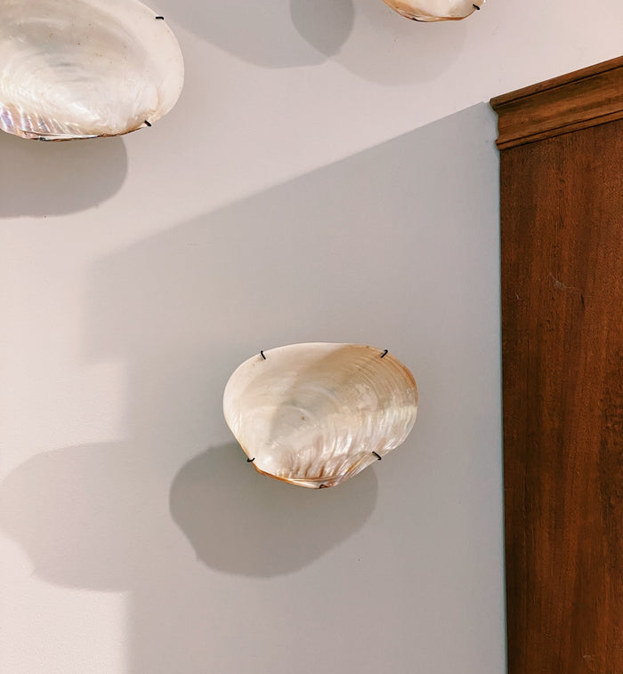 Anna Nina Bali Shell Wall Object