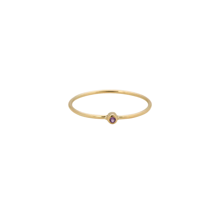 Anna Nina Birthstone Ring 14K February
