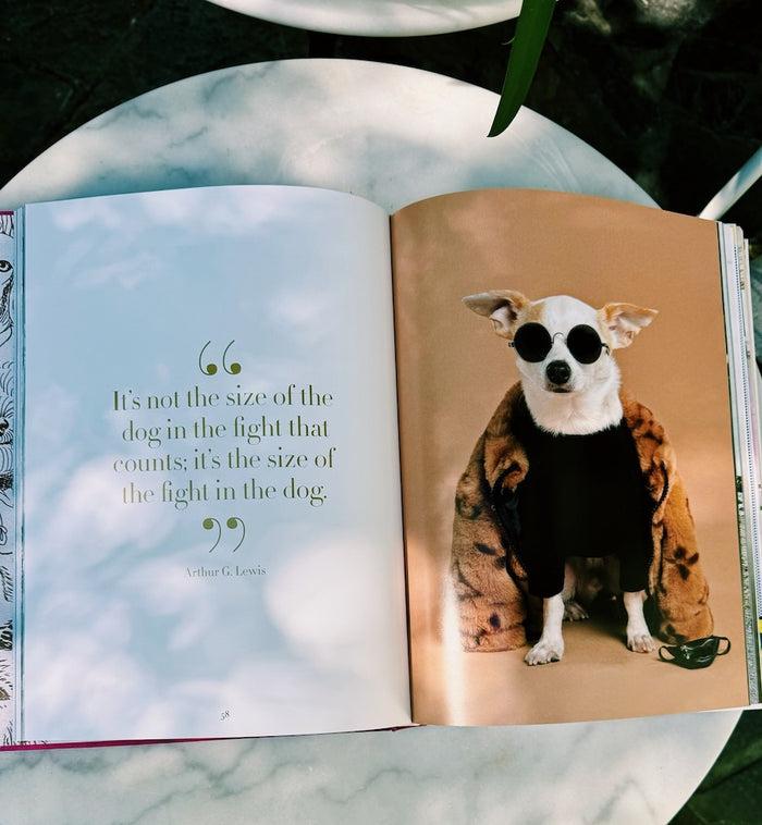 Anna Nina Chic Dogs Book By Assouline