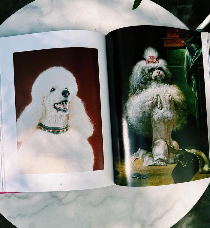 Anna Nina Chic Dogs Book By Assouline