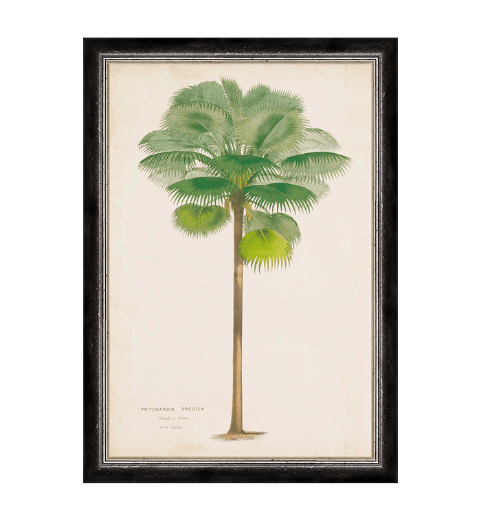 anna nina G&C Palm Painting