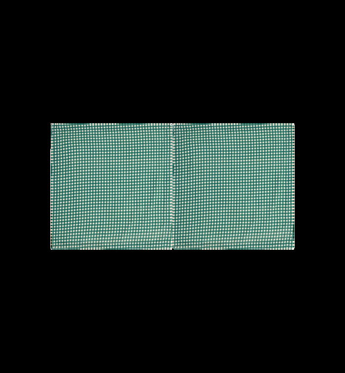 anna nina Gingham Napkin Set of 2