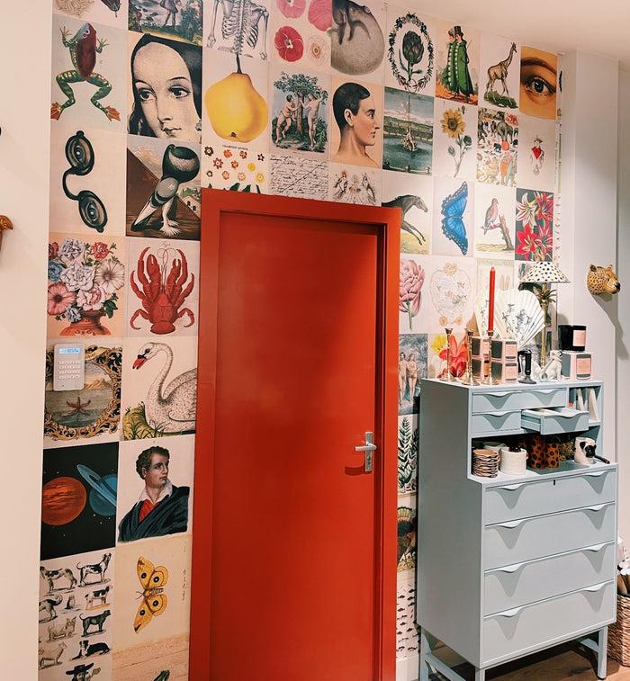 Anna Nina John Derian Picture Book