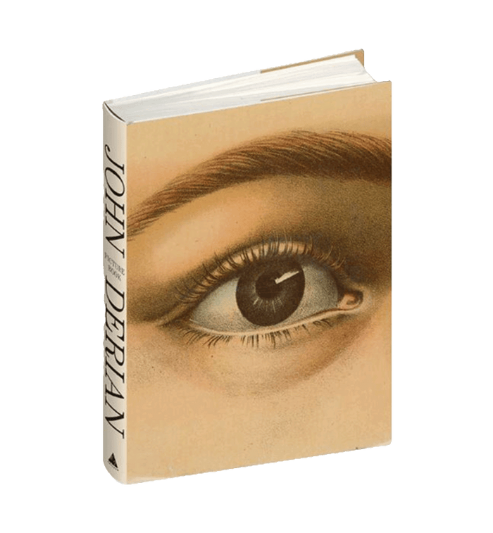 anna nina John Derian Picture Book