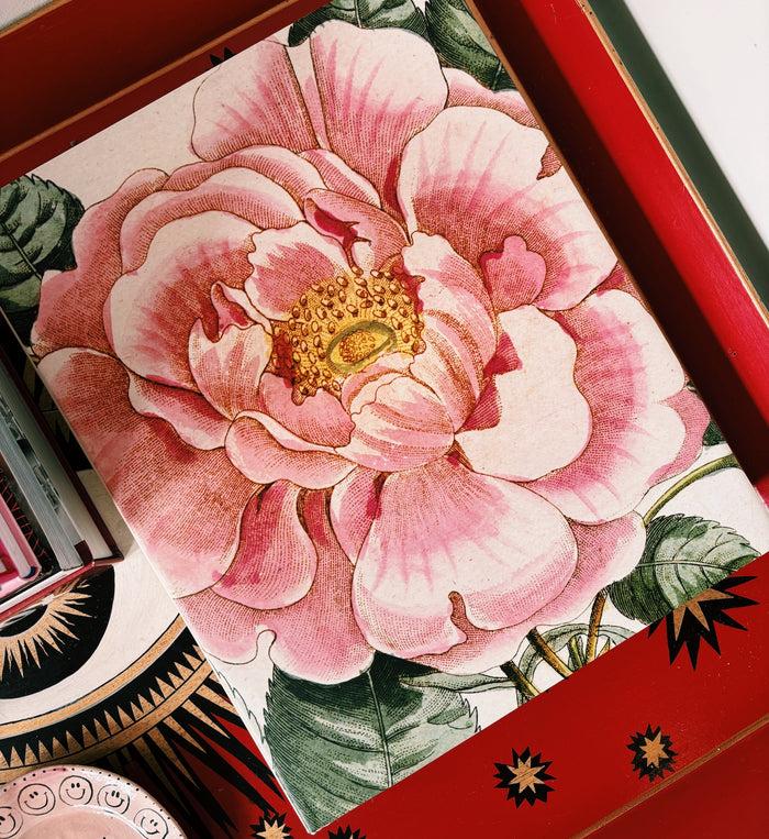 Anna Nina John Derian Picture Book II