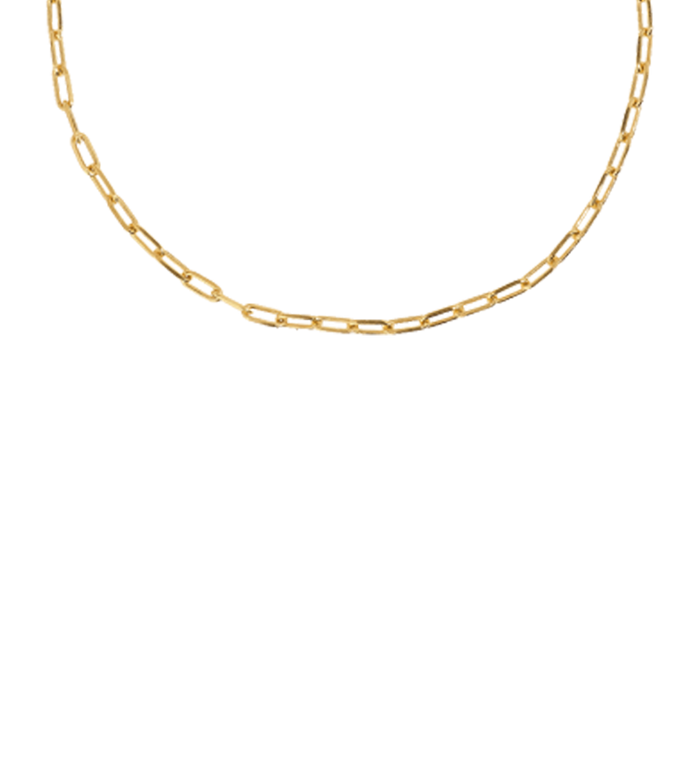 Anna Nina Link Bracelet 14K