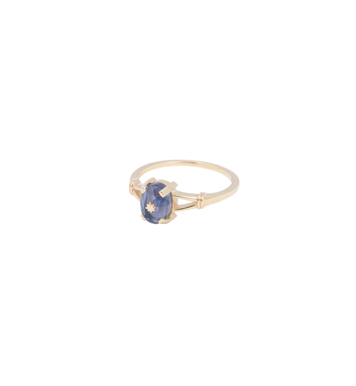 anna nina Lucky Fortune Star Ring 14K Yellow Gold