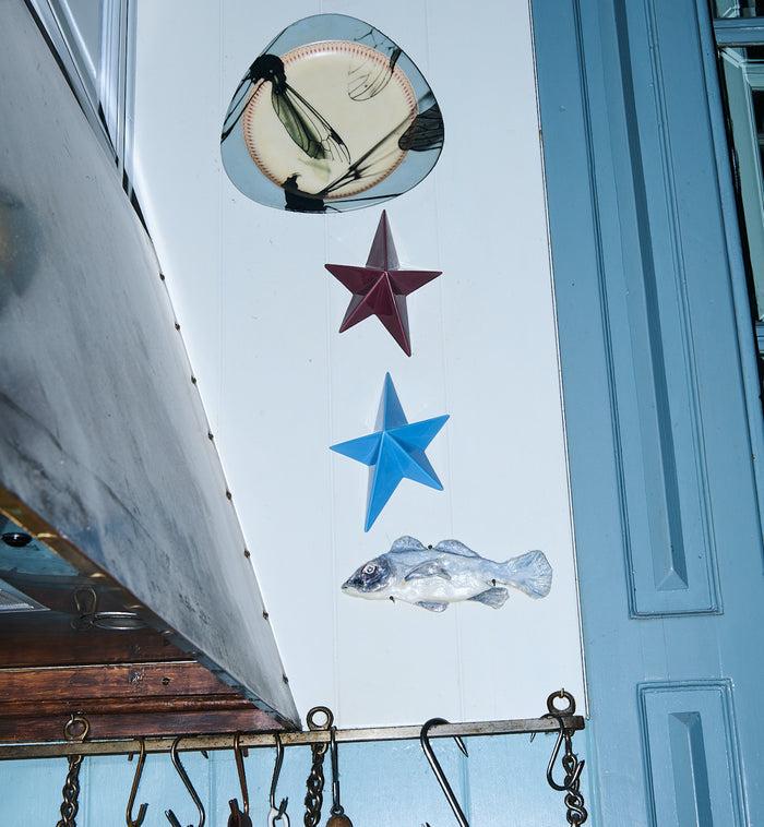 Anna Nina Plum Star Wall Decoration