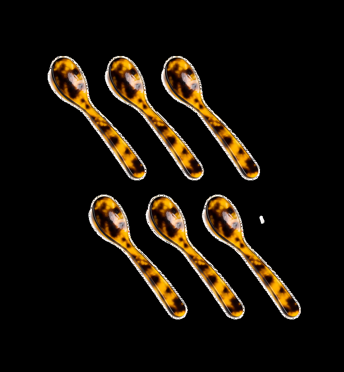 Anna Nina Tortoise Acrylic Teaspoon Set